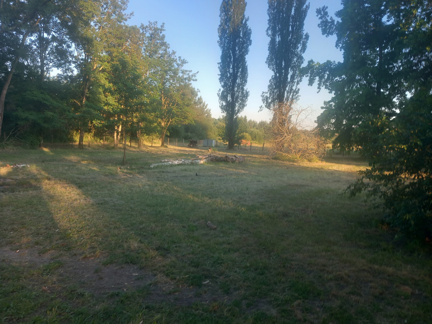 Nettoyage des parcs